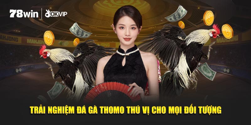 Trải nghiệm đá gà Thomo thú vị cho mọi đối tượng